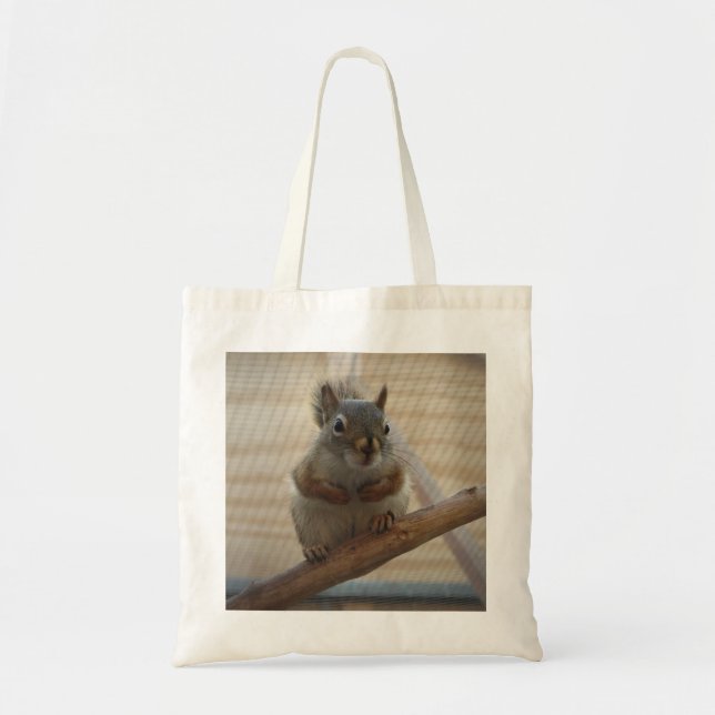 Cute Crouching Squirrel on Branch Tote Bag (Front)