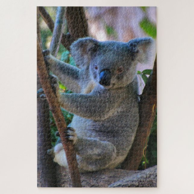 Cute cuddly Australian koala Jigsaw Puzzle (Vertical)