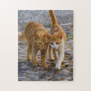 Cute Cuddly Cats Kittens Friends Stony Path Photo Jigsaw Puzzle