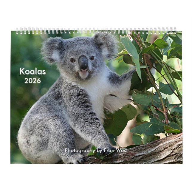 Cute cuddly Koala Calendar 2026 (Cover)