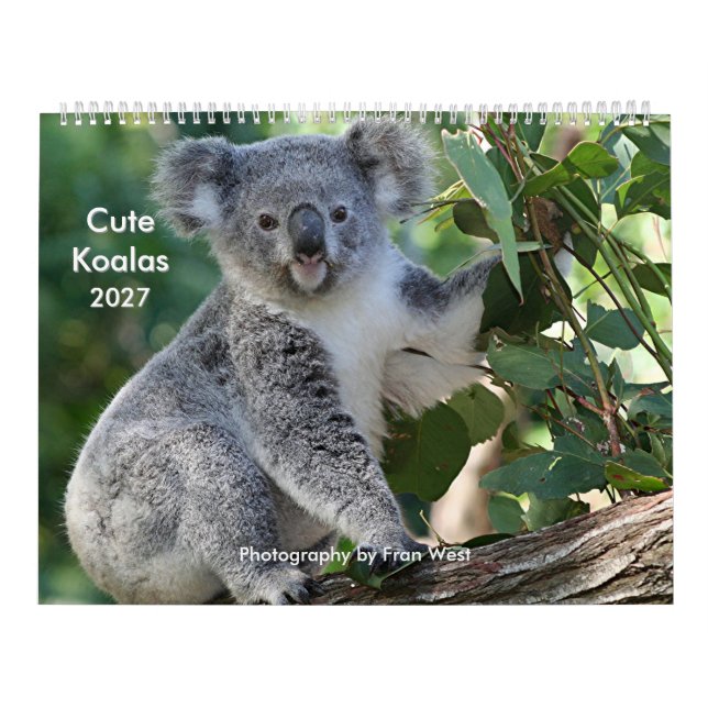 Cute cuddly Koala Calendar 2027 (Cover)