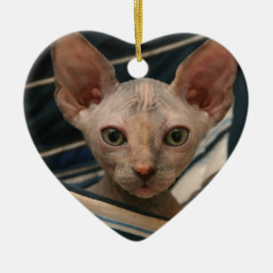 Cute curios sphynx kitten ceramic tree decoration