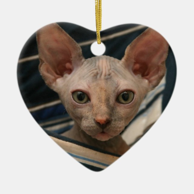 Cute curios sphynx kitten ceramic tree decoration (Front)