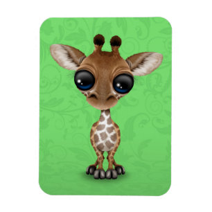 Cute Curious Baby Giraffe on Green Magnet