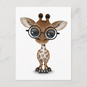 Cute Curious Baby Giraffe Wearing Glasses Postcard