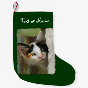 Cute Curious Cat Kitten Photo - Personalised Santa Small Christmas Stocking