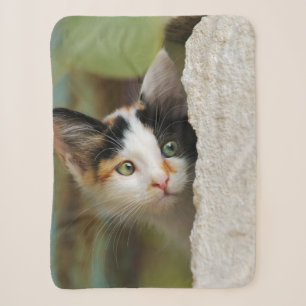 Cute Curious Cat Kitten Prying Eyes Head Photo Pet Sherpa Blanket