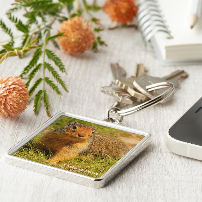 Cute Curious Columbian Ground Squirrel Key Ring (Side)
