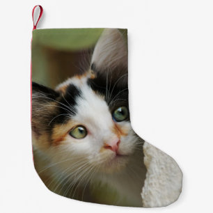 Cute Curious Kitten Prying Eyes Santa mantle Small Christmas Stocking