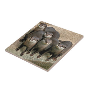 Cute Curious River Otters Wildlife Photography Tile
