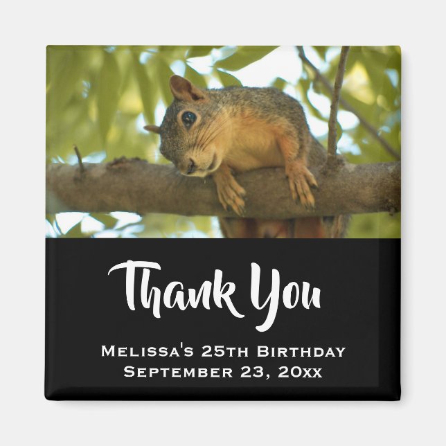 Cute & Curious Squirrel Nature Photo - Thank You Magnet (Front)