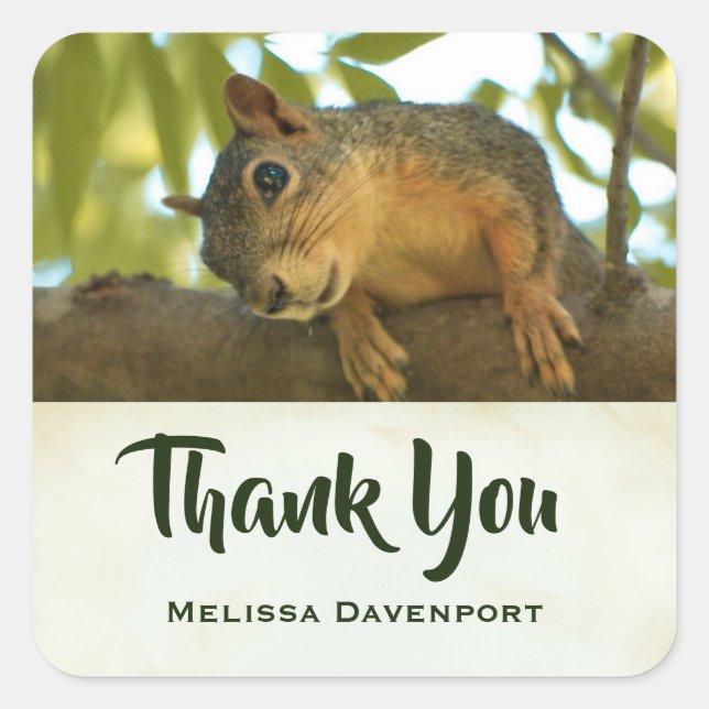 Cute & Curious Squirrel Nature Photo - Thank You Square Sticker (Front)