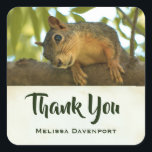 Cute & Curious Squirrel Nature Photo - Thank You Square Sticker<br><div class="desc">Thank you stickers with an adorable image of a brown squirrel standing on a tree branch looking at you with an inquisitive face.</div>