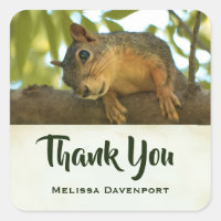 Cute & Curious Squirrel Nature Photo - Thank You