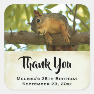Cute & Curious Squirrel Nature Photo - Thank You Square Sticker