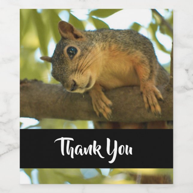 Cute & Curious Squirrel Nature Photo - Thank You Wine Label (Single Label)