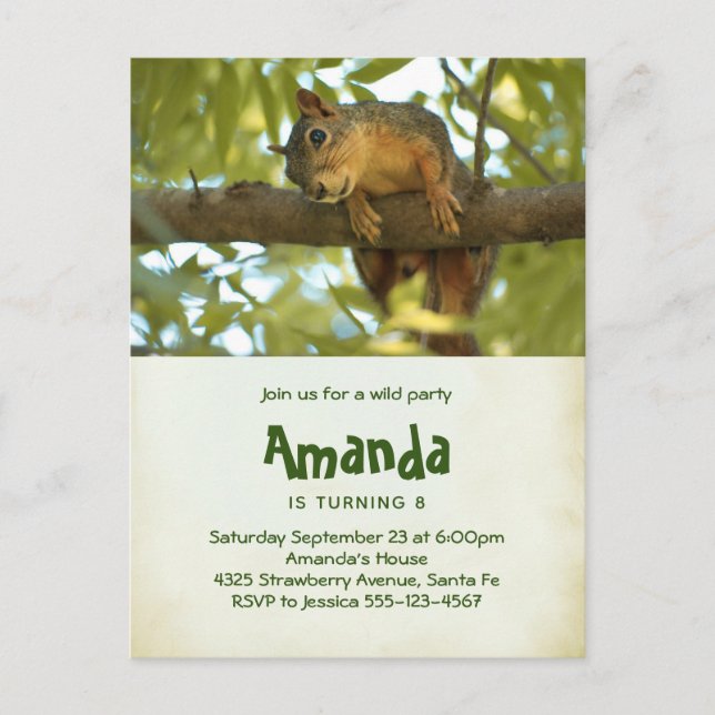 Cute Curious Squirrel Nature Photography Birthday Invitation Postcard (Front)
