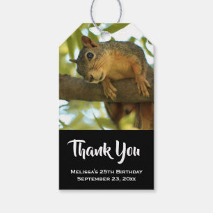 Cute & Curious Squirrel Nature Photography Gift Tags
