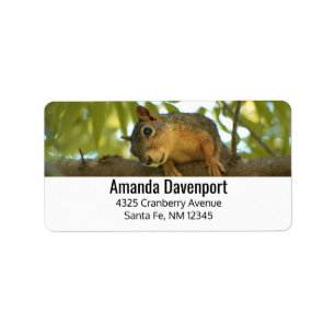 Cute & Curious Squirrel Nature Photography Label