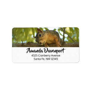 Cute & Curious Squirrel Nature Photography Label