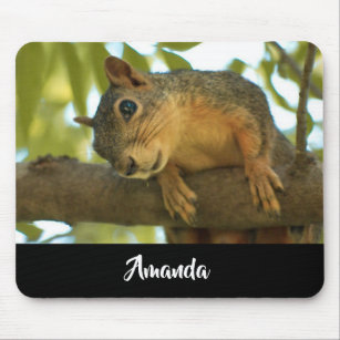 Cute & Curious Squirrel Nature Photography Mouse Pad