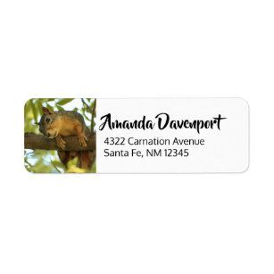 Cute & Curious Squirrel Nature Photography Return Address Label