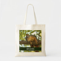 Cute Curious Squirrel Nature Photography