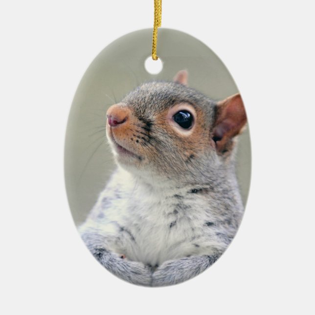Cute Curious Squirrel Photo Ceramic Ornament (Front)
