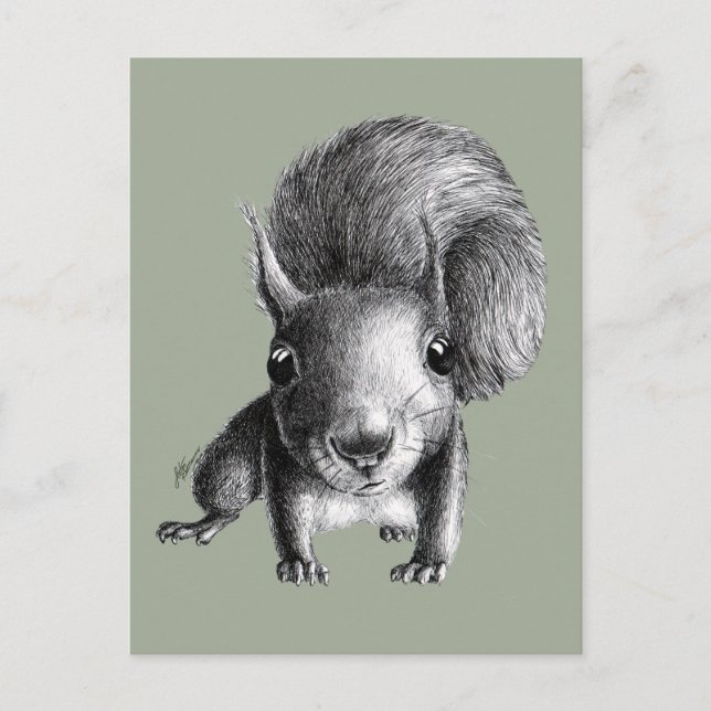 Cute Curious Squirrel Postcard (Front)
