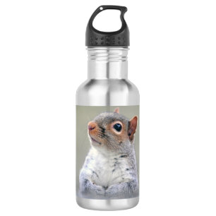 Cute Curious Squirrel Profile Photo 532 Ml Water Bottle