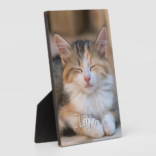 Cute Curly Name Cat Vertical Photo Plaque
