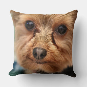 Cute cushion