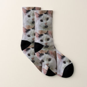 Cute Custom Cat Photo Socks