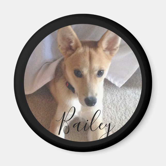 Cute Custom Dog Pet Photo Name Magnet (Front)