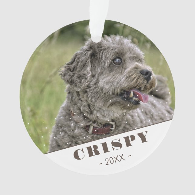 Cute Custom Pet Dog Photo Personalised Ornament (Front)