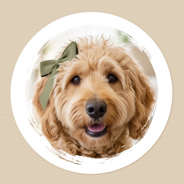 Cute Custom Photo Dog Pet Modern Printed Classic Round Sticker (Creator Uploaded)