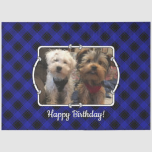 Cute Custom Photo Frame Pet Blue & Black Plaid Tissue Paper