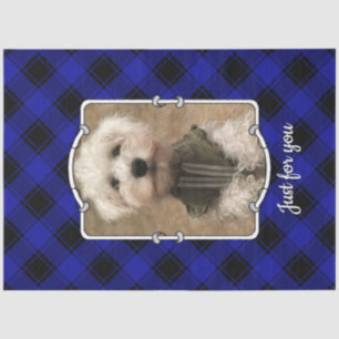 Cute Custom Photo Frame Pet Blue & Black Plaid Tissue Paper