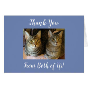 Cute Customisable Tabby Cats Thank You Kitties