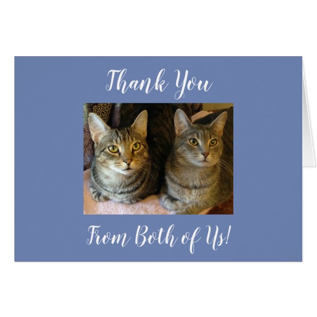 Cute Customisable Tabby Cats Thank You Kitties (Front Horizontal)