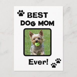 Cute Customise Best Pet Dog Cat Mum Mum Ever Postcard