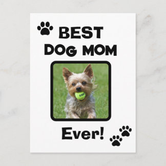 Cute Customise Best Pet Dog Cat Mum Mum Ever Postcard