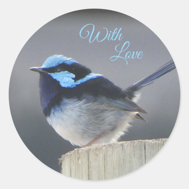 Cute Customizable Superb Fairywren Sticker (Front)