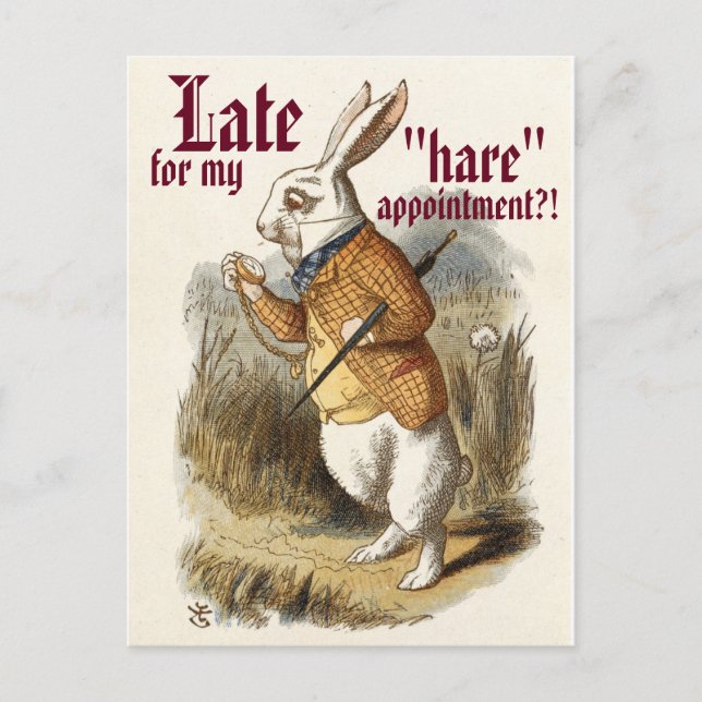 Cute CUSTOMIZABLE White Rabbit "Hare" Hair Salon Postcard (Front)