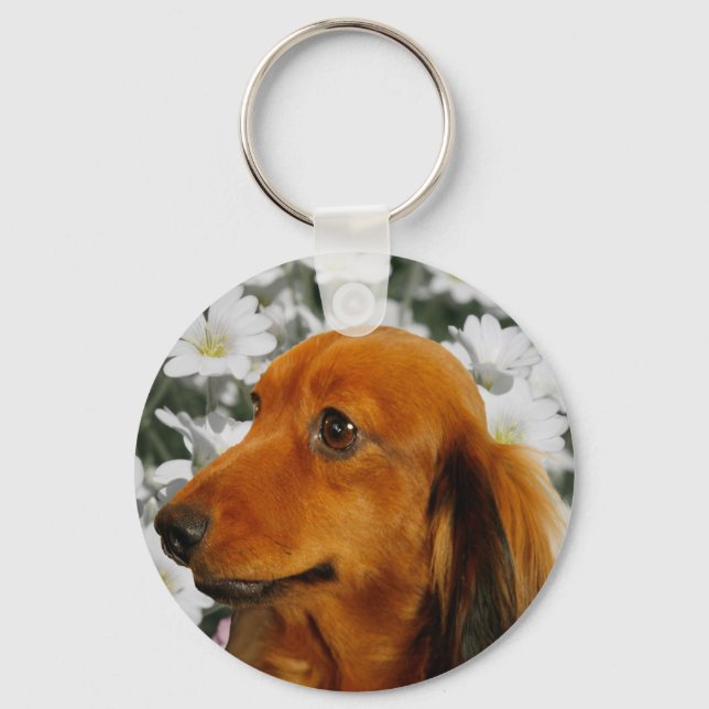 Cute Dachshund (Brown Long Haired) in Flowers Key Ring (Front)