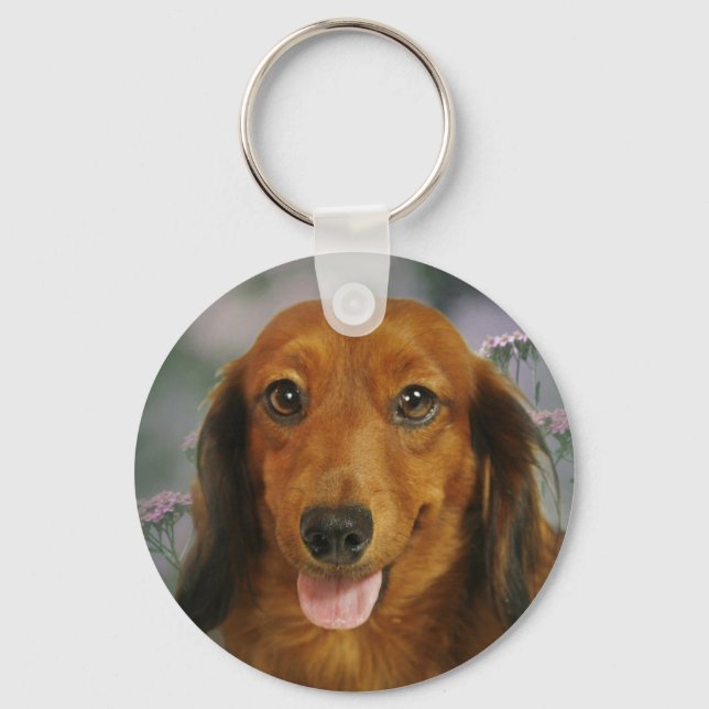 Cute Dachshund (Brown Long Haired) Wild Flowers Key Ring (Front)