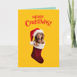 Cute Dachshund Dog Christmas  Holiday Card