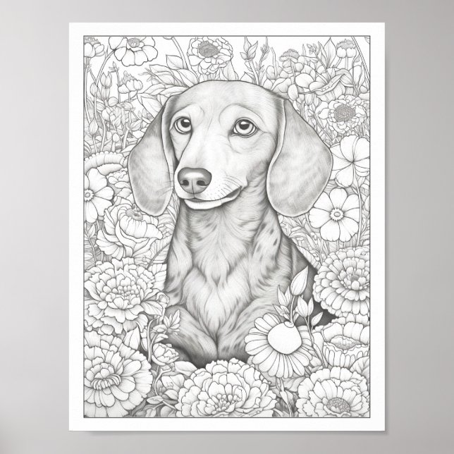 Cute Dachshund Dog Colouring Poster (Front)