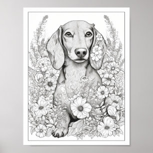 Cute Dachshund Dog Colouring Poster