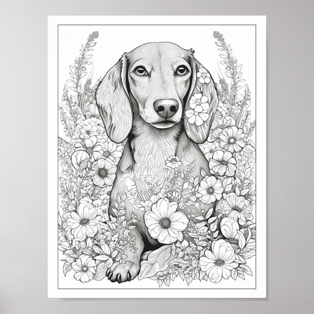 Cute Dachshund Dog Colouring Poster (Front)